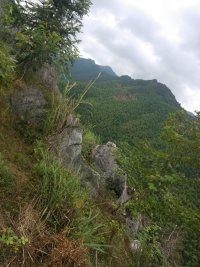 范文芳挺孕肚頒獎 吳尊求當鄭惠玉親家